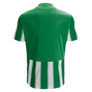 Macron Sceptrum shirt groen wit