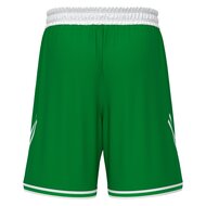 Macron Kansas basketbal short groen