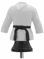 PF351.2 Judopak met standaard